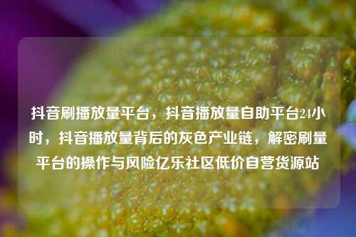 抖音刷播放量平台，抖音播放量自助平台24小时，抖音播放量背后的灰色产业链	，解密刷量平台的操作与风险亿乐社区低价自营货源站  第1张